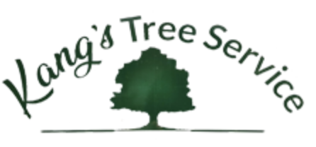 Kangs Tree Logo